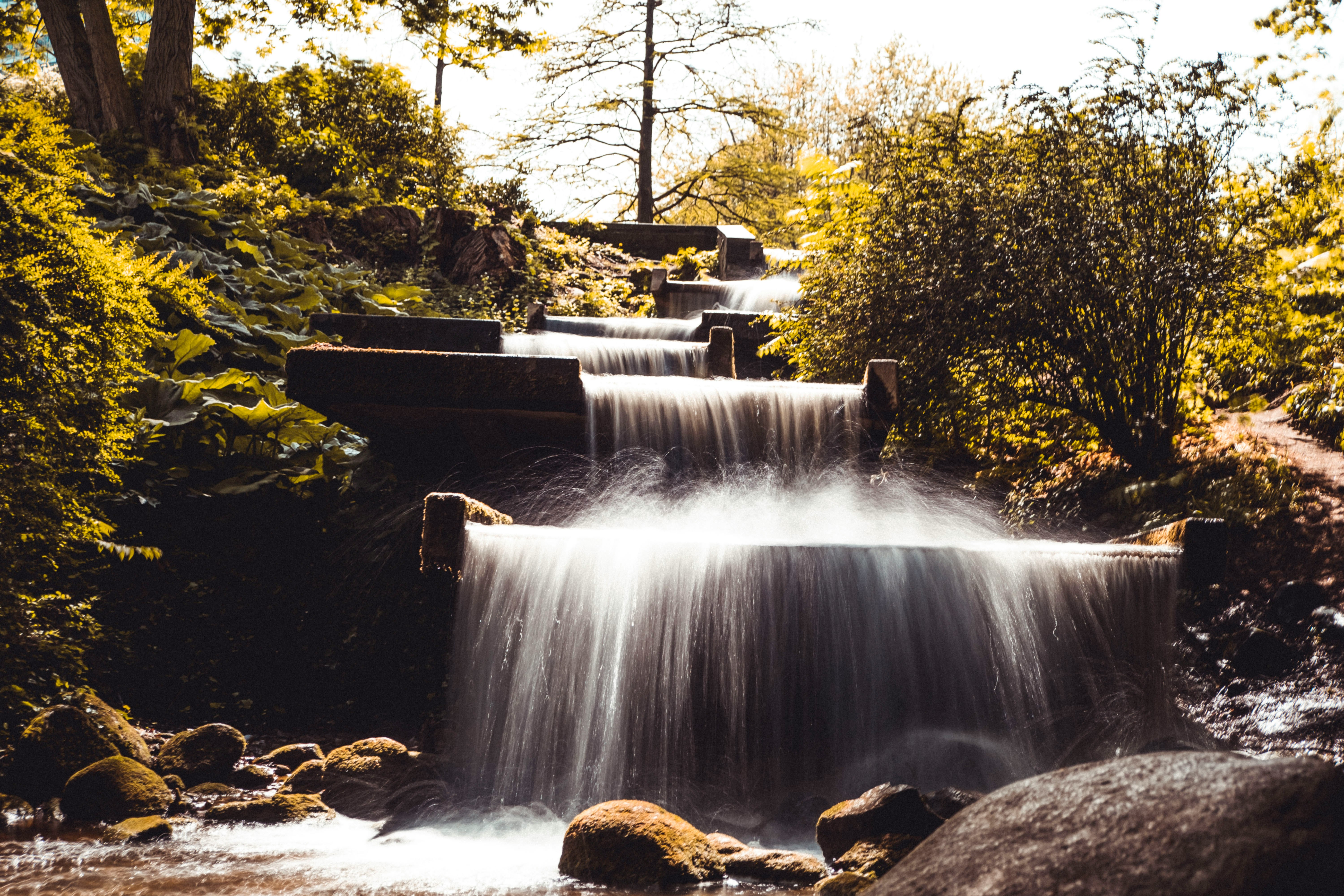 water falls in the middle of green trees